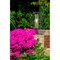 Z-Lite Dunbroch 1 Light Outdoor Pier Mounted Fixture, Deep Bronze + Outdoor Brass & Clear 584PHMR-553PM-DBZ - alternate 6